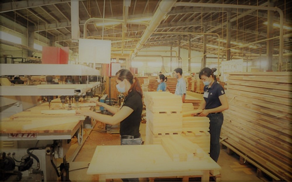 sản xuất gỗ việt nam